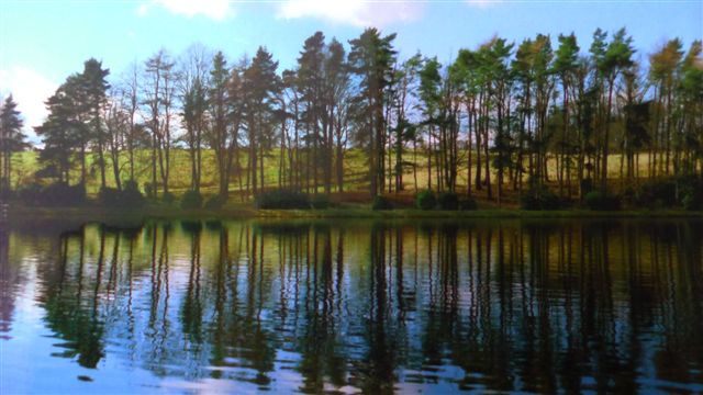 Cairns%20Landscape%20300%20for%20CE%20crop